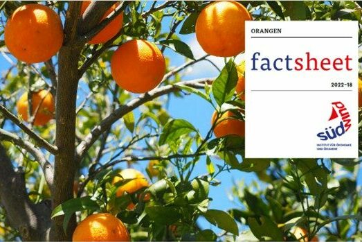 Factsheet
