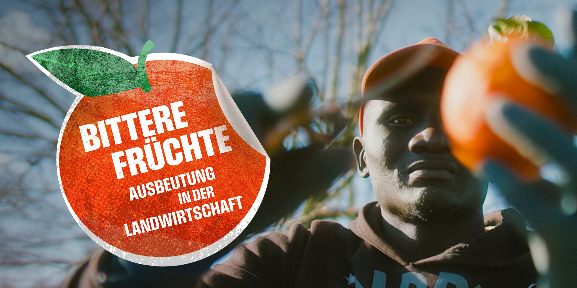 KEYVISUAL_Bittere Früchte