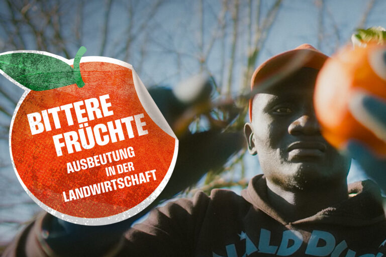 KEYVISUAL_Bittere Früchte