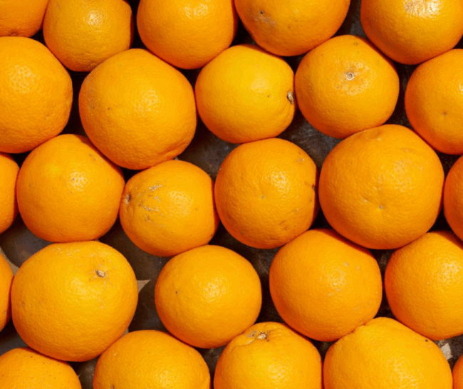 Screenshot 2026-03-25 183902