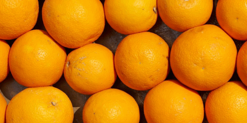 Screenshot 2026-03-25 183902